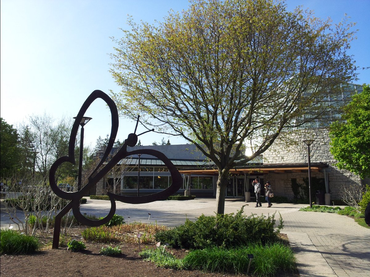 School of Gardening08